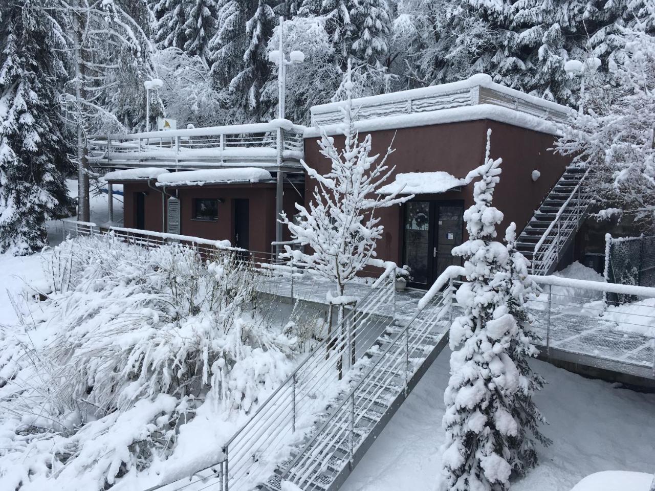 Apartmany Bella Vista Lipno Frydava Exterior photo